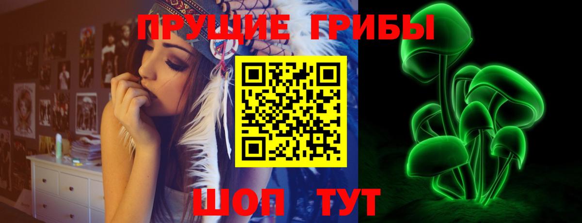 где купить наркотик  Псилоцибиновые грибы мицелий  Вход с VPN  Фрязино  Галлюциногенные грибы Psilocybine cubensis 